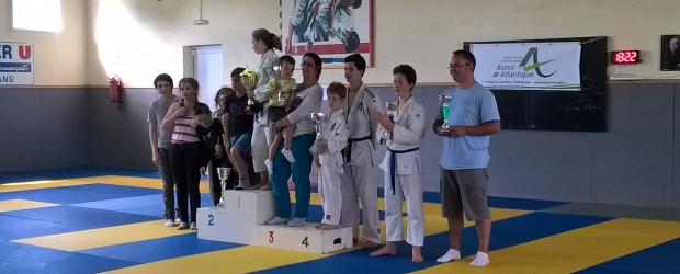 Le Judo Savinois 4ème à Charron